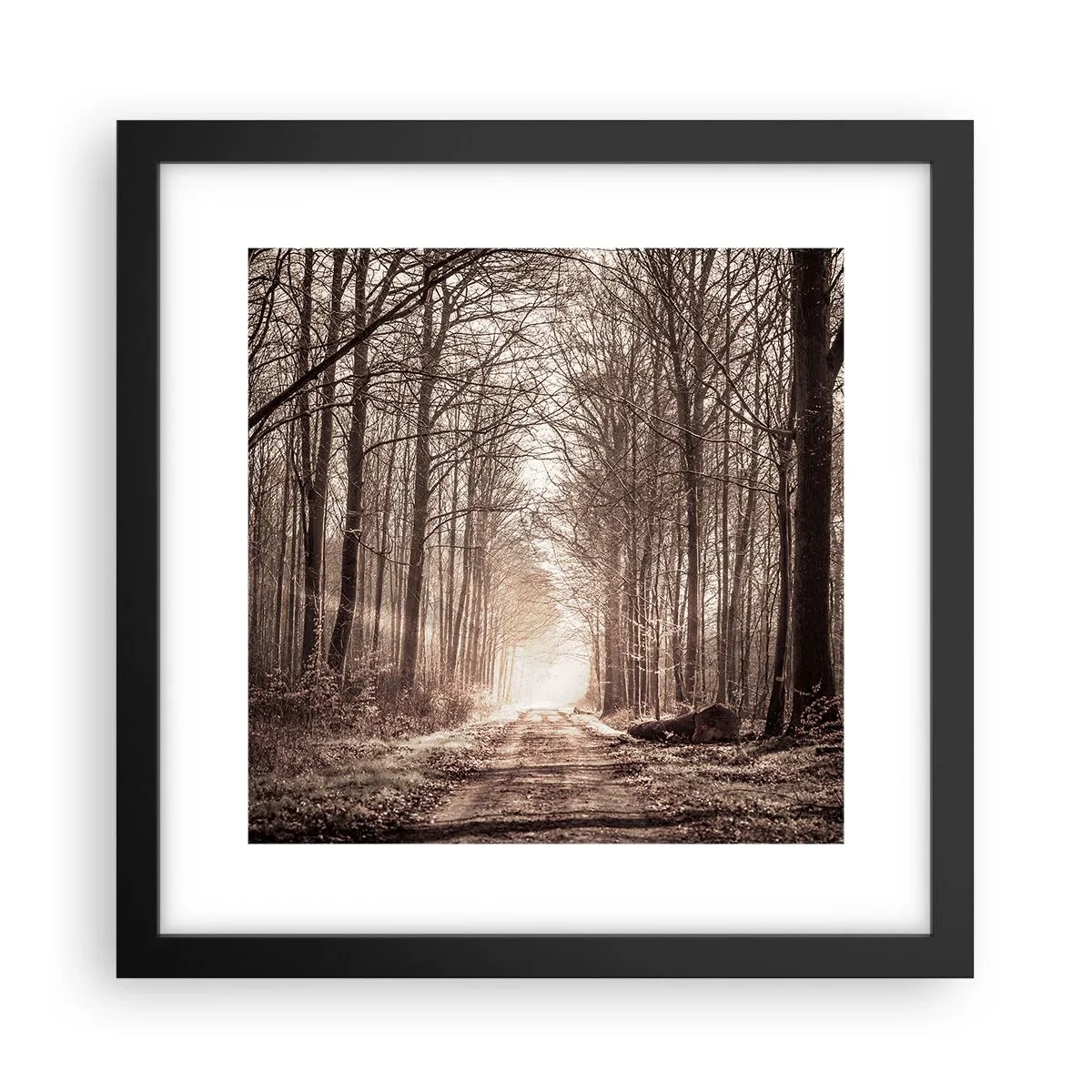 Plakat i sort ramme - Skovkatedralen - 30x30 cm