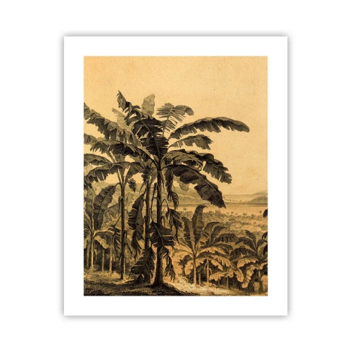 Plakat - I en kolonial atmosfære - 40x50 cm
