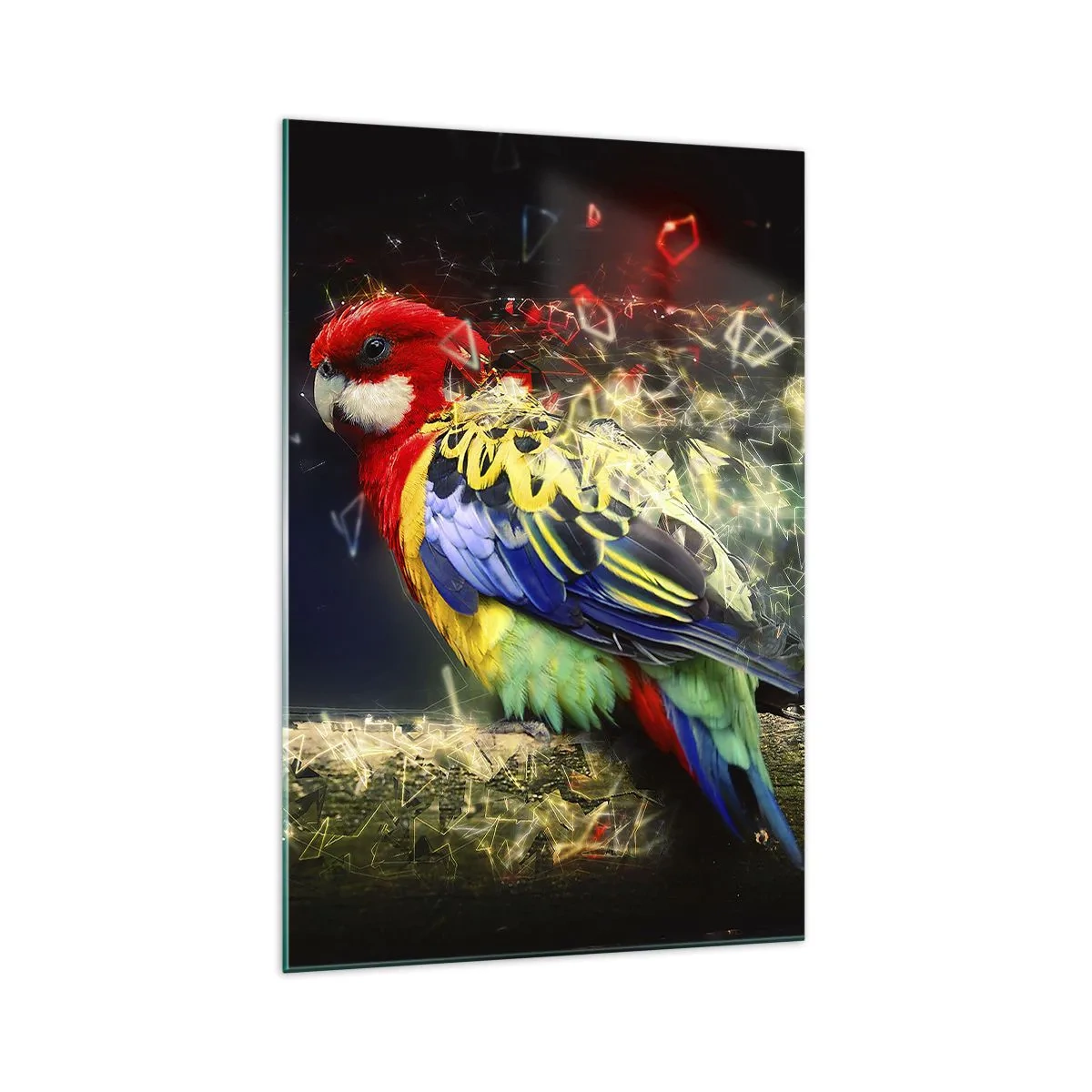 Billede på glas - Budbringeren af udstråling - 70x100 cm
