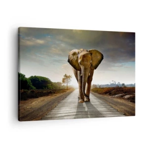 Lærredstryk - Billede på lærred - En elefant går langs en vej gennem et landskab ved solnedgang - 70x50cm - Og slet ikke i en porcelænsbutik - Moderne vægdekoration til stue og soveværelse ARTTOR