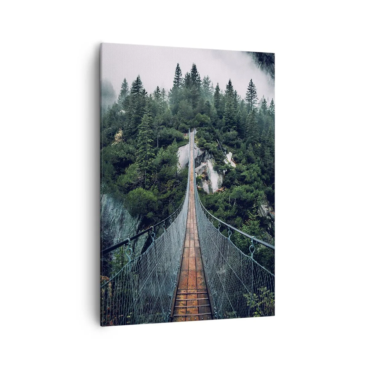 Lærredstryk - Billede på lærred - Kun for ørne - 70x100 cm