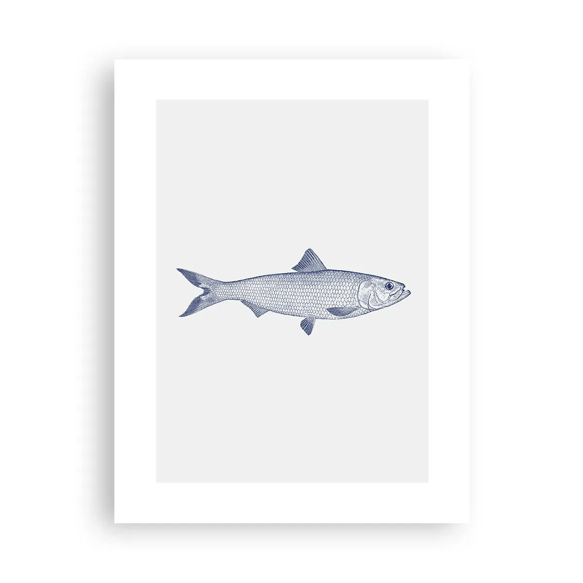 Plakat - Hilsner fra de nordlige have - 30x40 cm