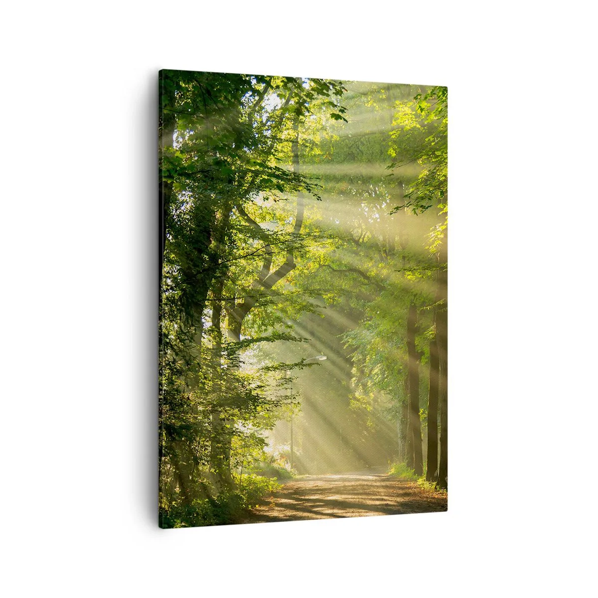 Lærredstryk - Billede på lærred - Øjeblik i skoven - 50x70 cm