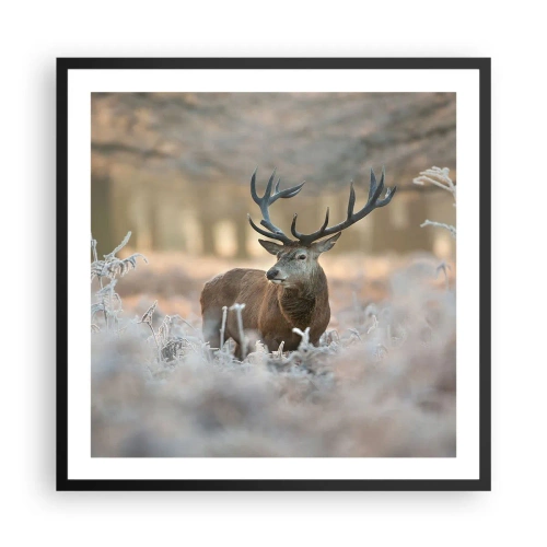 Plakat i sort ramme - En frisk morgen - 60x60 cm