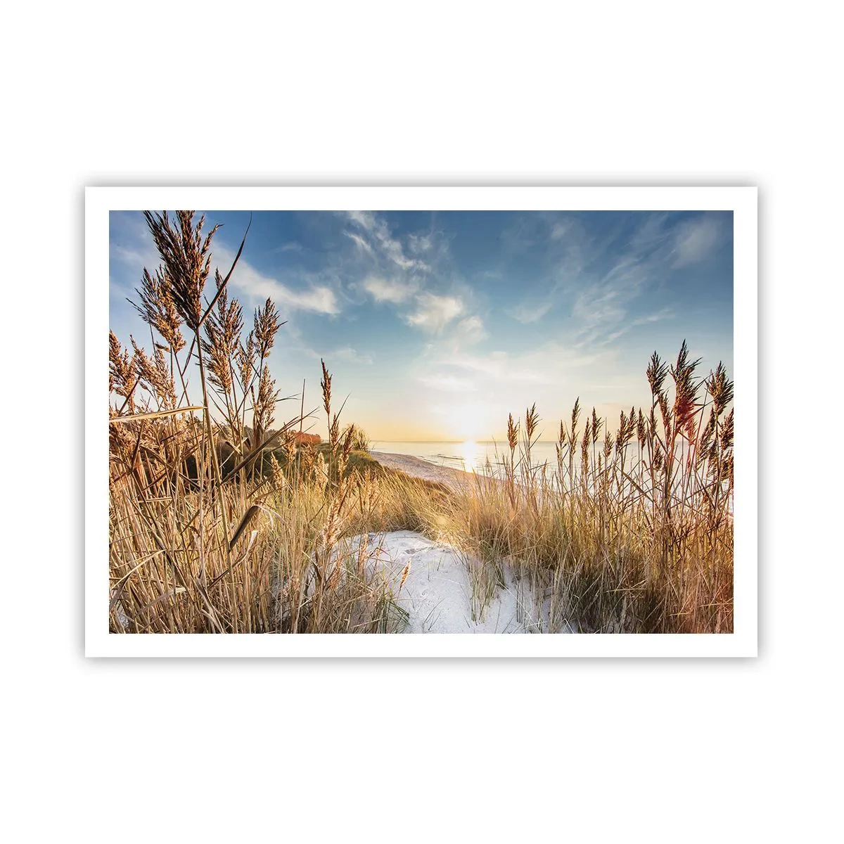 Plakat - Nordstrand - 100x70 cm