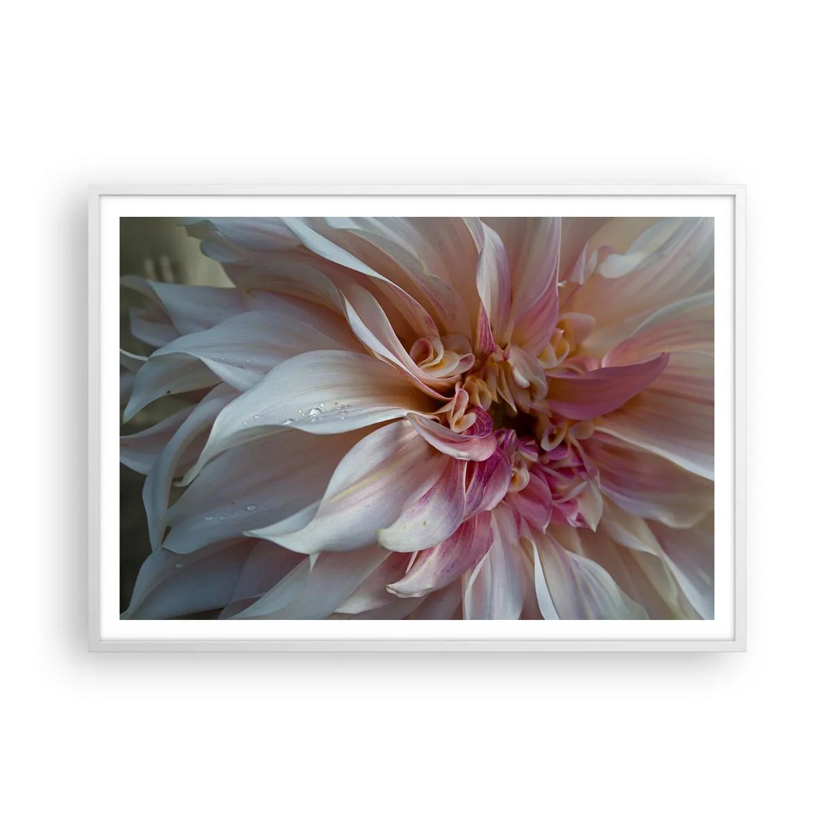 Plakat i hvid ramme - Blomstrende friskhed - 100x70 cm