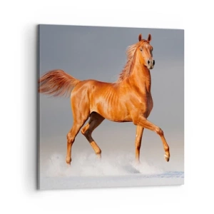 Lærredstryk - Billede på lærred - Dansende ynde - 60x60 cm