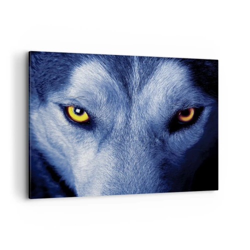 Lærredstryk - Billede på lærred - Et hypnotiserende udseende - 100x70 cm