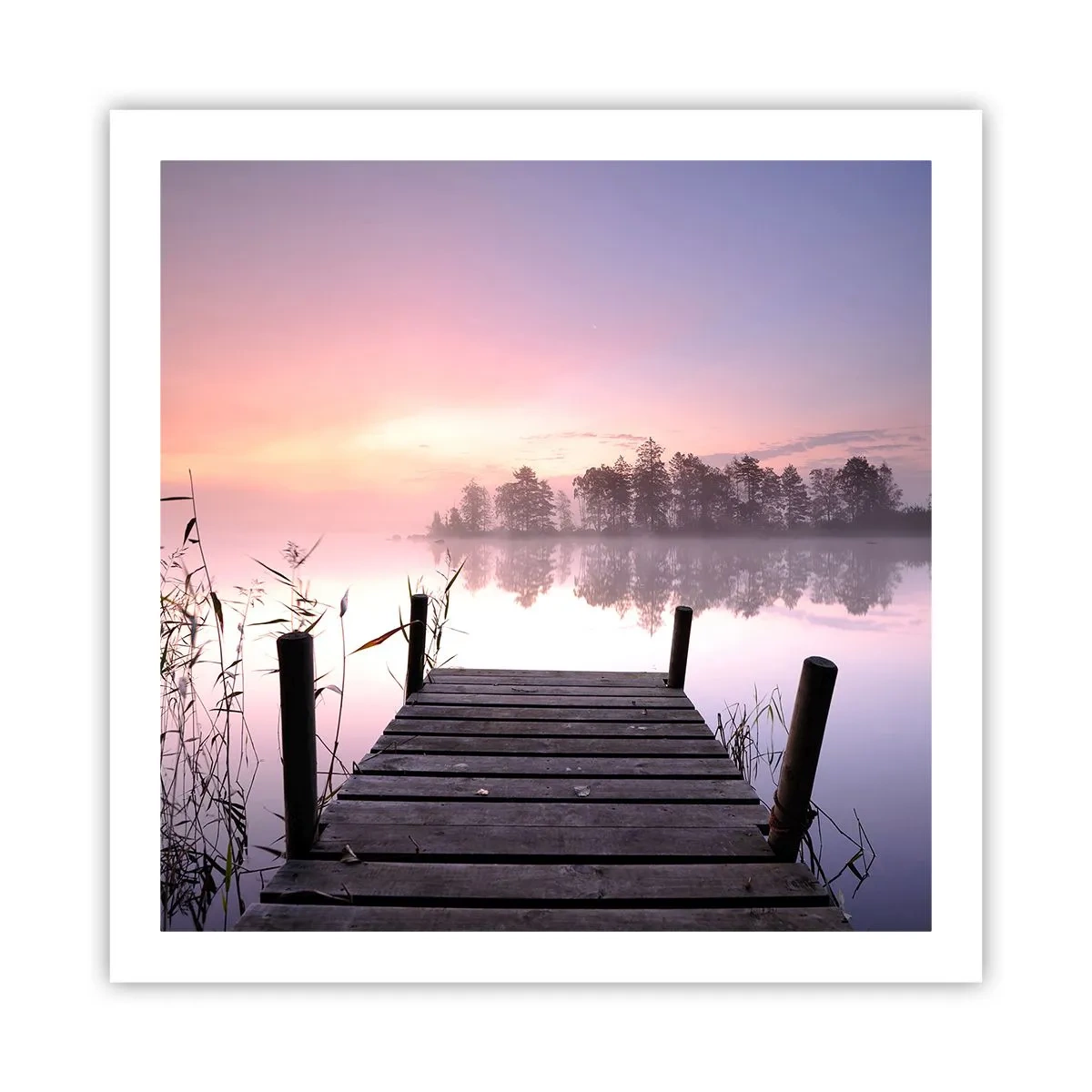 Plakat - Ud af den lilla tåge... - 60x60 cm