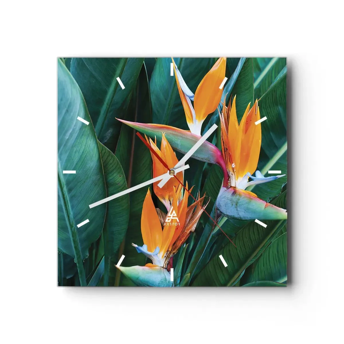 Vægur, Uret - Er det en blomst eller er det en fugl? - 30x30 cm