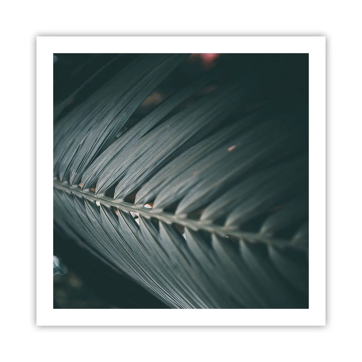 Plakat - Naturens præcision - 60x60 cm