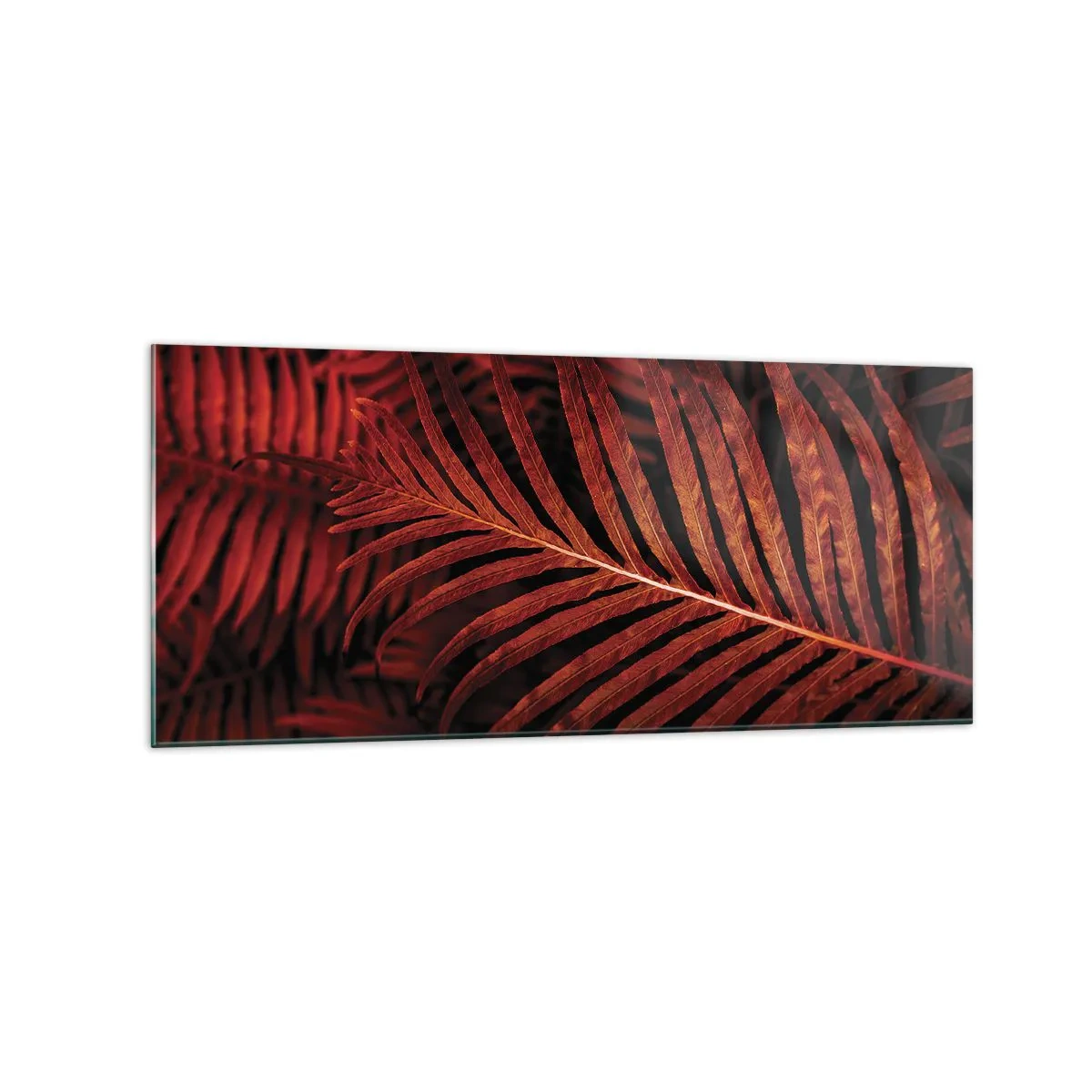 Billede på glas - Livets varme - 120x50 cm