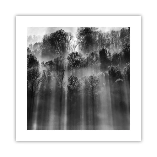 Plakat - I stråler af lys - 40x40 cm