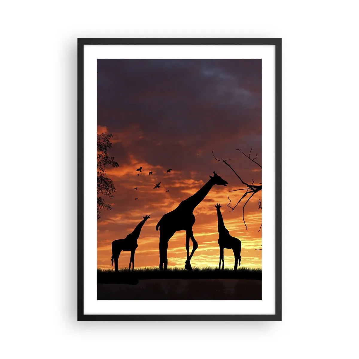 Plakat i sort ramme - Silhuetter af giraffer ved solnedgang - 50x70cm - En lille middag med dem, du holder af - Moderne vægdekoration til stue og soveværelse ARTTOR