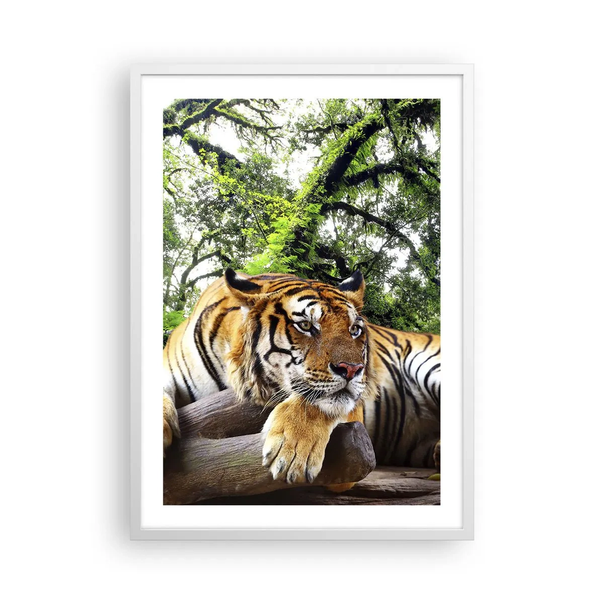 Plakat i hvid ramme - Med venlig hilsen - 50x70 cm