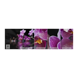 Prøve Fototapet Premium Sand - En lilla afspejling af skønhed - Blomster, Orkidé, Natur - 100x30 cm