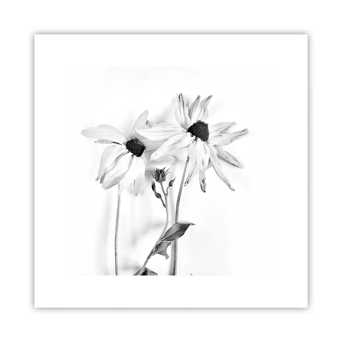 Plakat - Ingen ønsker at være alene - 30x30 cm