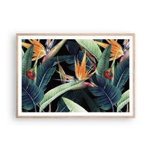 Plakat i ramme af lyst egetræ - Flammeblomster i troperne - 100x70 cm