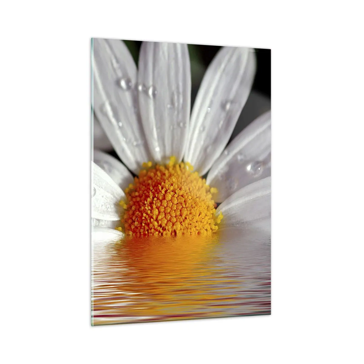 Billede på glas - Den opgående sol på margaret - 50x70 cm