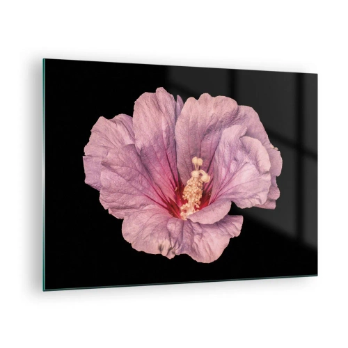 Billede på glas - Nærbillede af en lyserød hibiscusblomst mod en sort baggrund - 70x50cm - Lige i hjertet - Moderne vægdekoration til stue og soveværelse ARTTOR