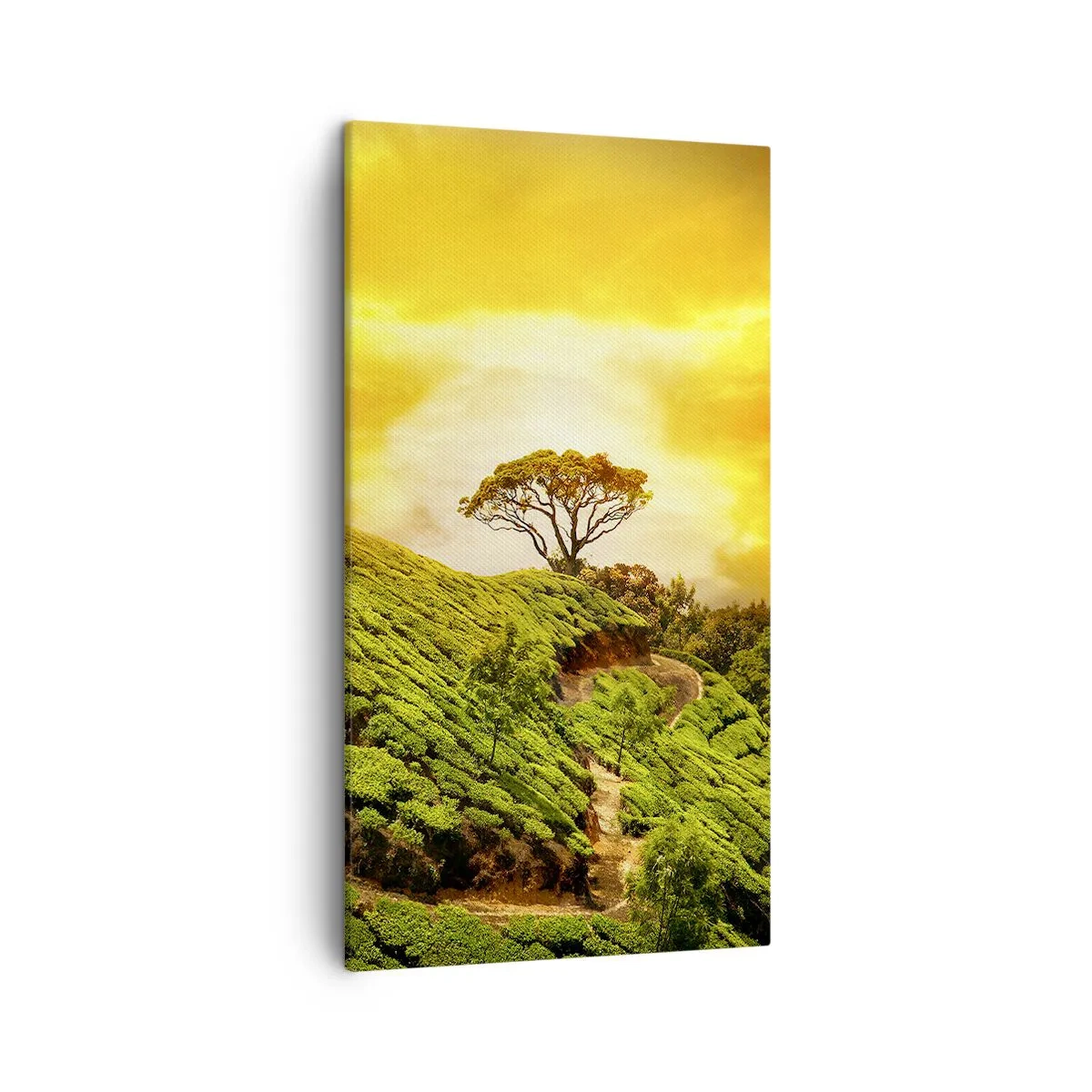 Lærredstryk - Billede på lærred - En snoet sti, en grøn skråning - 45x80 cm