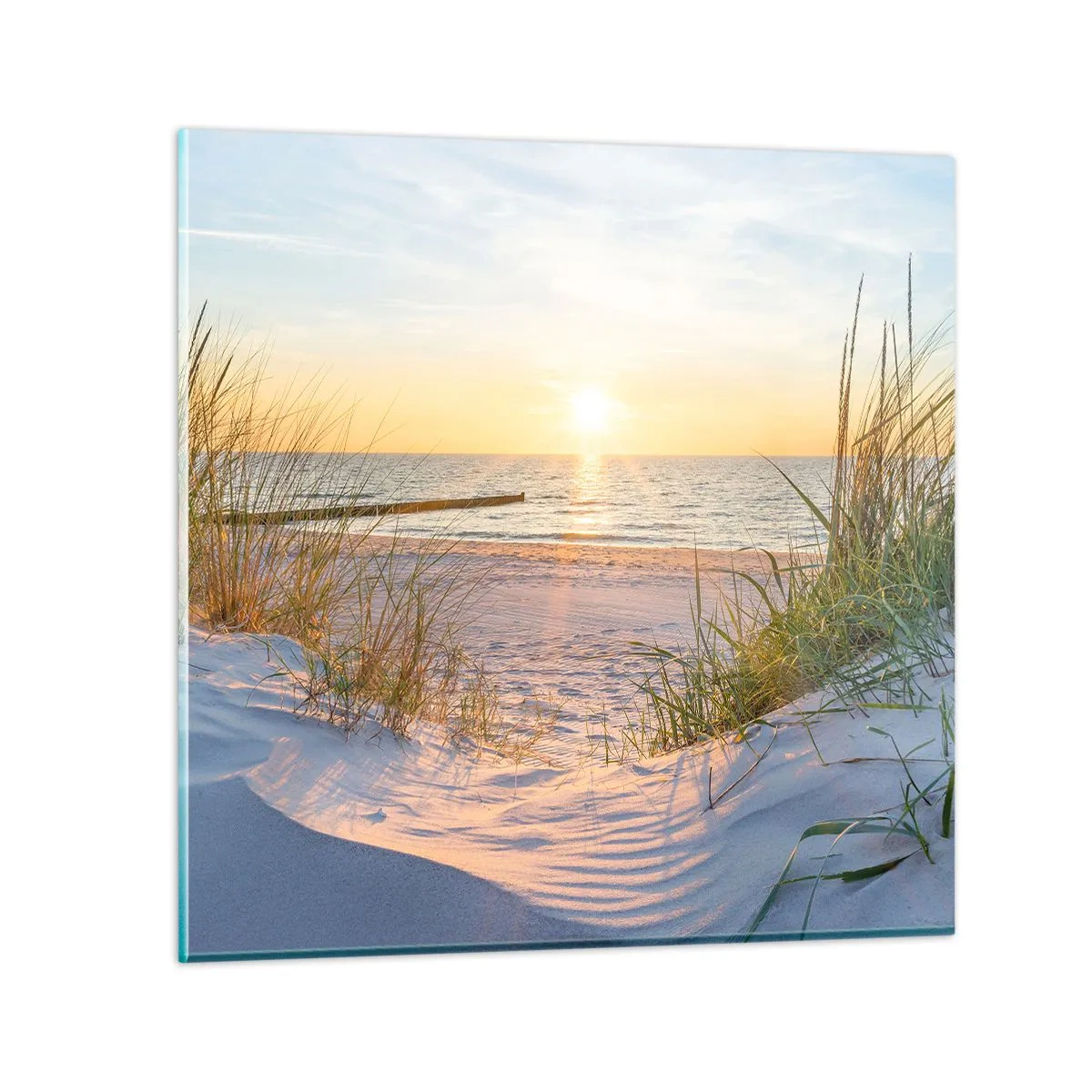 Billede på glas - Havet brummer, fuglene synger, en vild strand midt i græsset.... - 30x30 cm