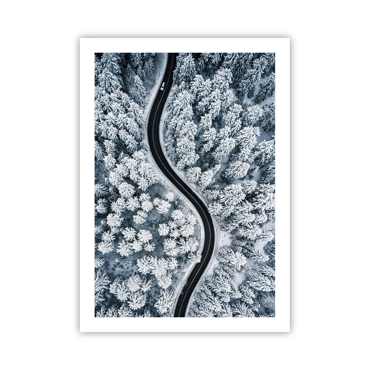 Plakat - Gennem en vinterskov - 50x70 cm