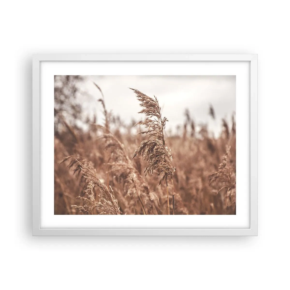 Plakat i hvid ramme - Efteråret er allerede på markerne - 50x40 cm