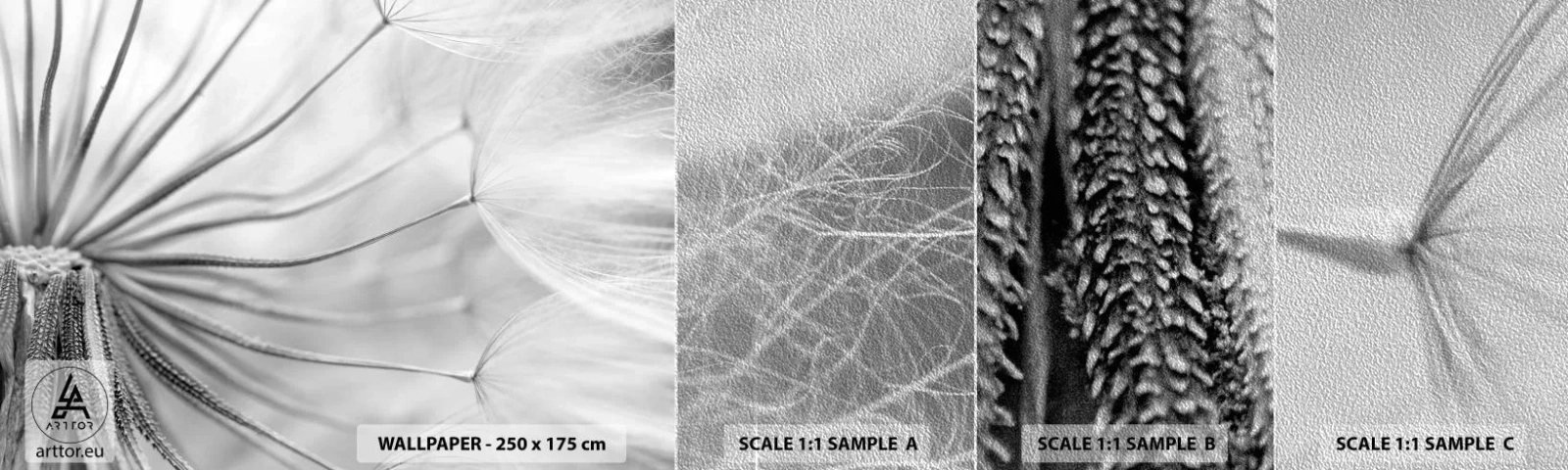 Prøve Fototapet Premium Sand - Blæsende drager - Minimalisme, Delikat, Blomst - 100x30 cm