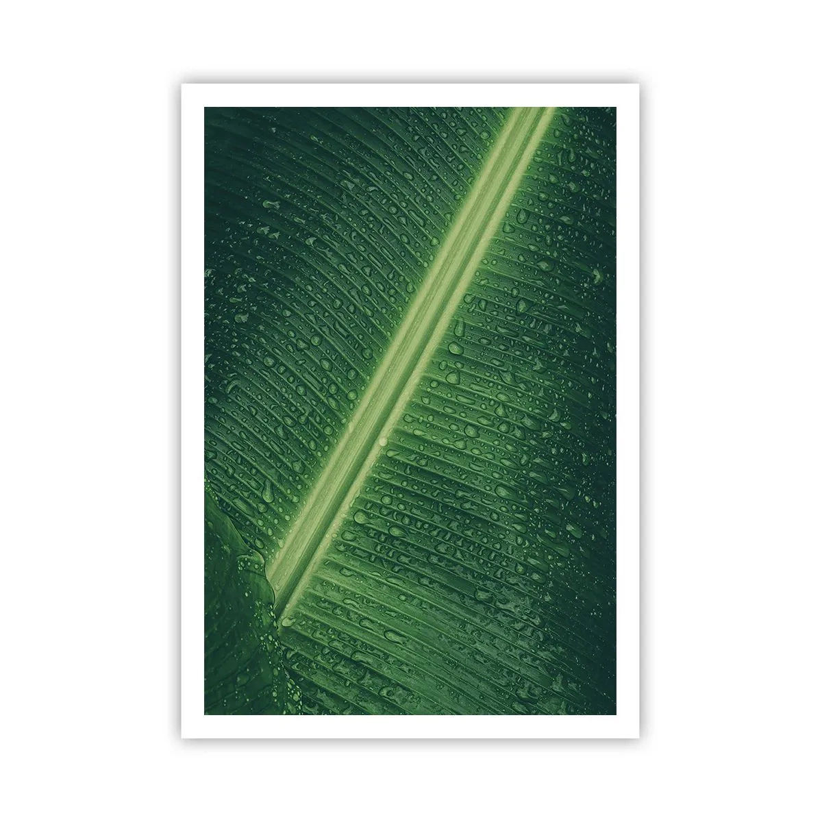 Plakat - Grøn struktur - 70x100 cm