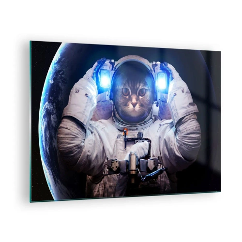 Billede på glas - En kattehovedet kosmonaut i rummet - 70x50cm - Houston, I har et problem - Moderne vægdekoration til stue og soveværelse ARTTOR