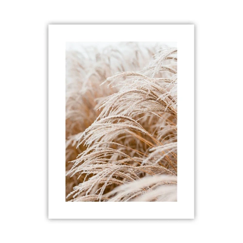 Plakat - Bøjer sig for efterårssolen - 30x40 cm