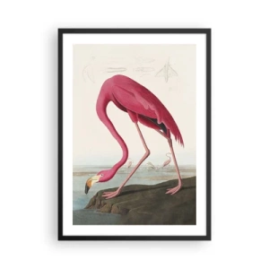 Plakat i sort ramme - En lyserød flamingo mod et naturligt landskab - 50x70cm - Et forbløffende væsen - Moderne vægdekoration til stue og soveværelse ARTTOR