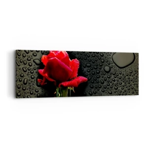 Lærredstryk - Billede på lærred - Rød og sort - 90x30 cm