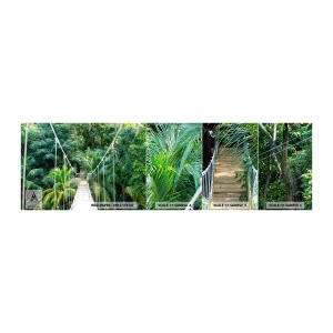 Fototapet Prøve Standard Eco - Velkommen til junglen! - Landskab, Jungle, Honduras - 100x30 cm