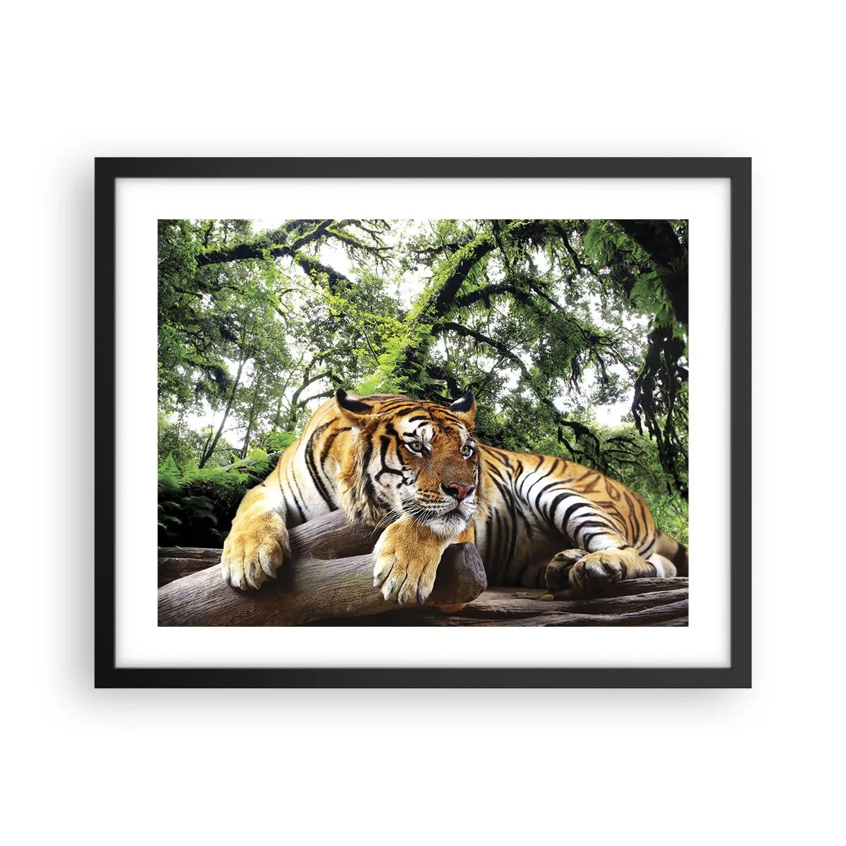 Plakat i sort ramme - Med venlig hilsen - 50x40 cm