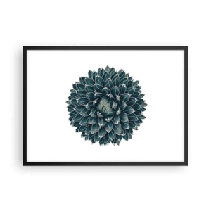 Plakat i sort ramme - Ørkenstjerne - 70x50 cm