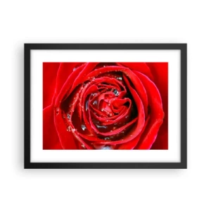 Plakat i sort ramme - I dråber af dug - 40x30 cm