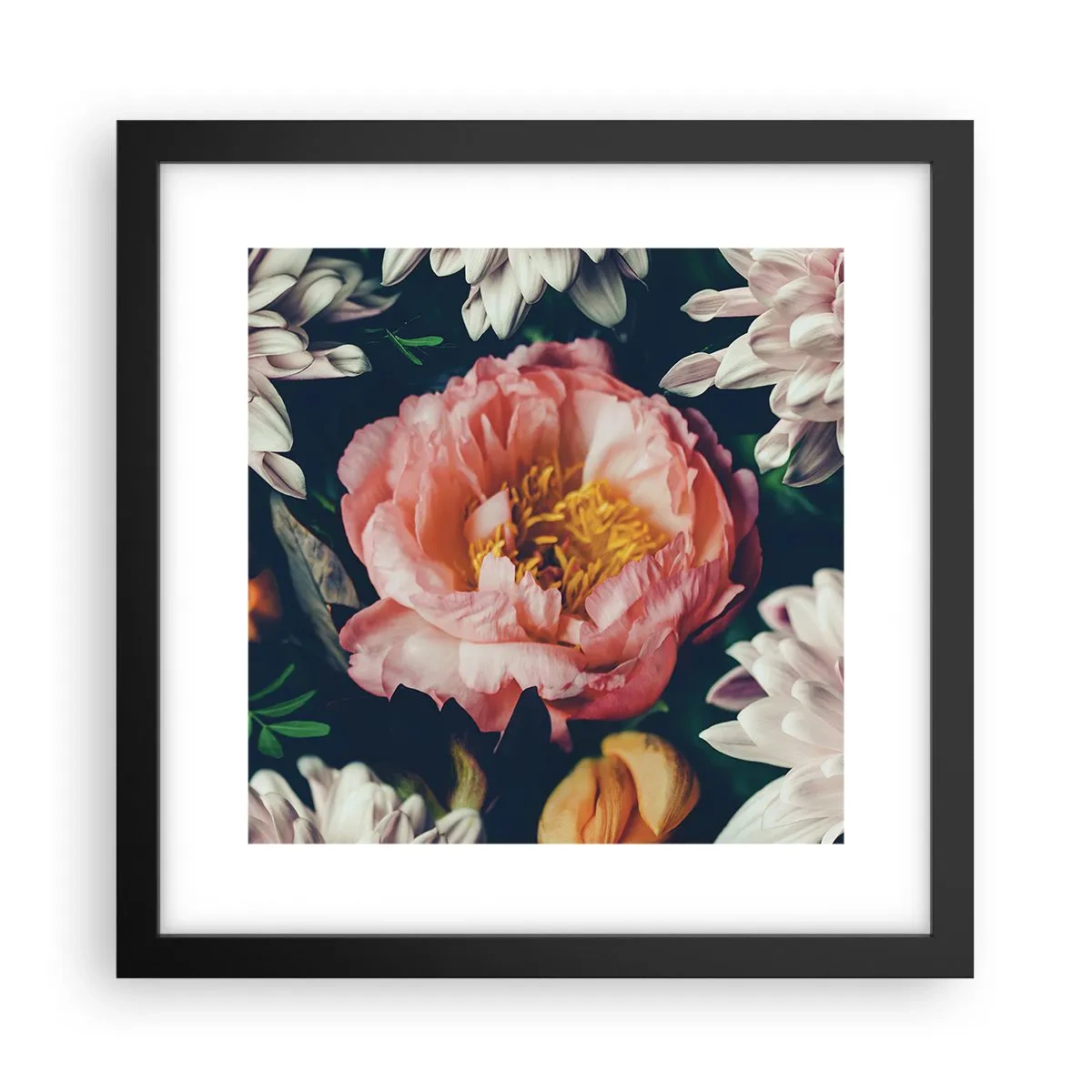 Plakat i sort ramme - Med barok pragt - 30x30 cm