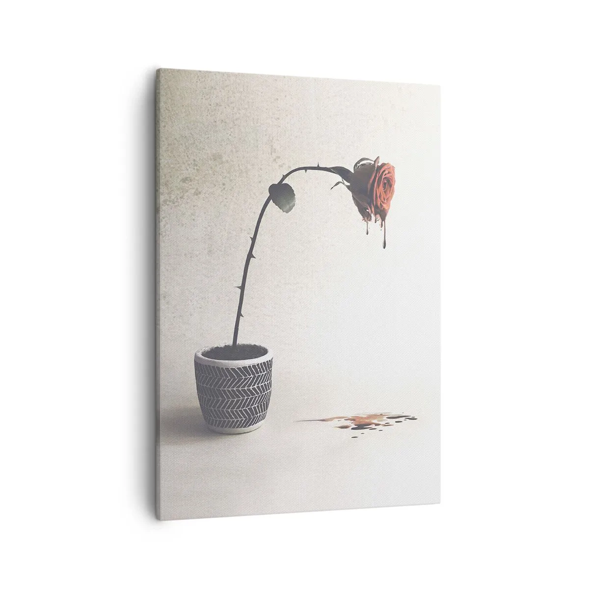 Lærredstryk - Billede på lærred - Rosa dolorosa - 50x70 cm