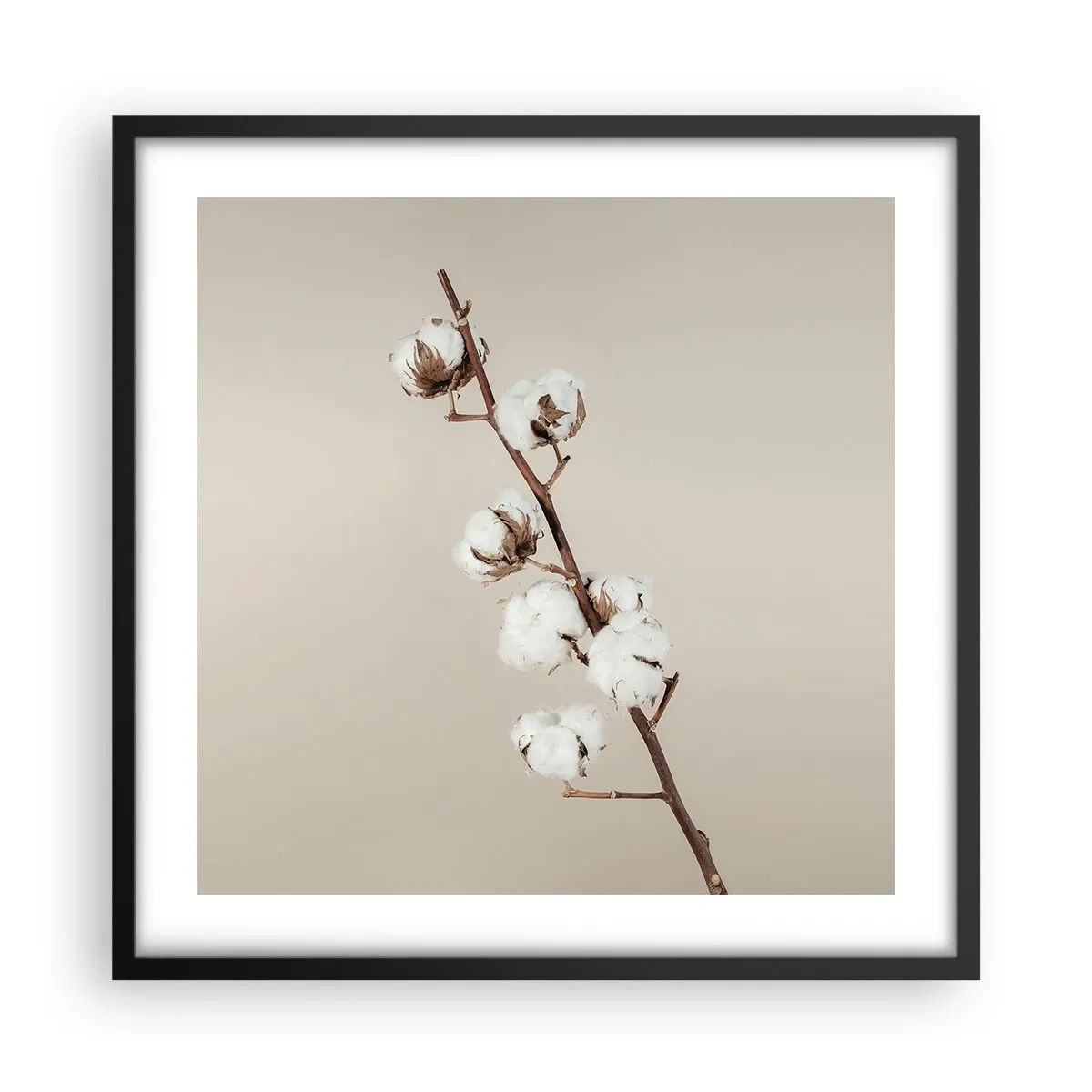 Plakat i sort ramme - Ved kilden til blødhed - 50x50 cm