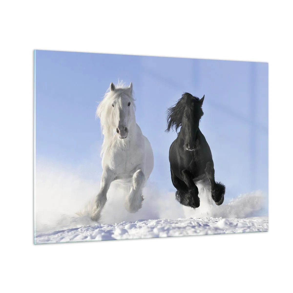 Billede på glas - Sort og hvid galop - 100x70 cm