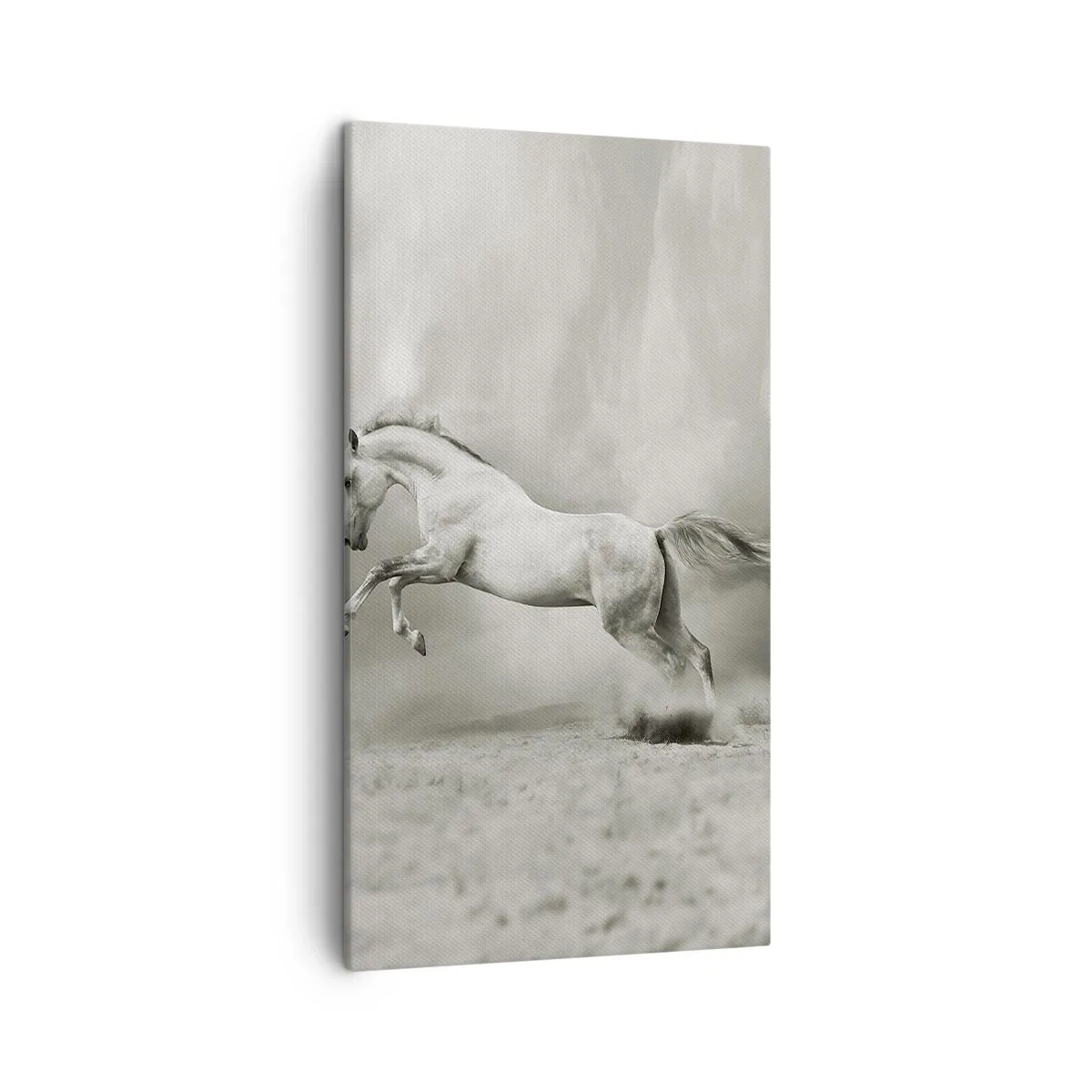 Lærredstryk - Billede på lærred - Mellem vågenhed og drømme - 45x80 cm