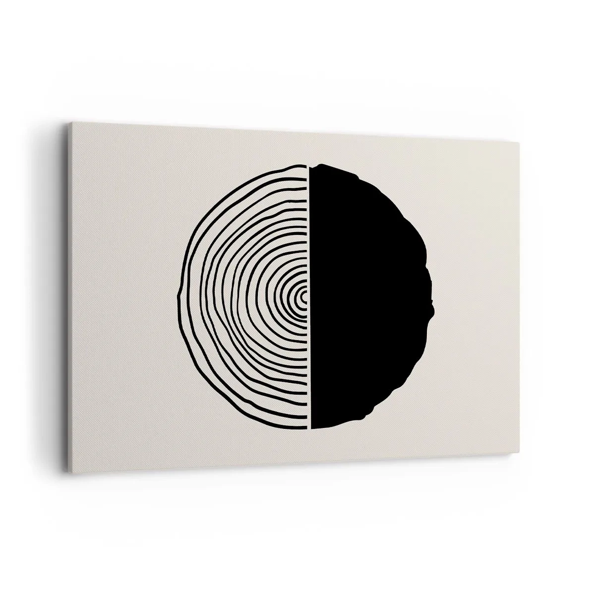 Lærredstryk - Billede på lærred - Halvt og halvt - 100x70 cm