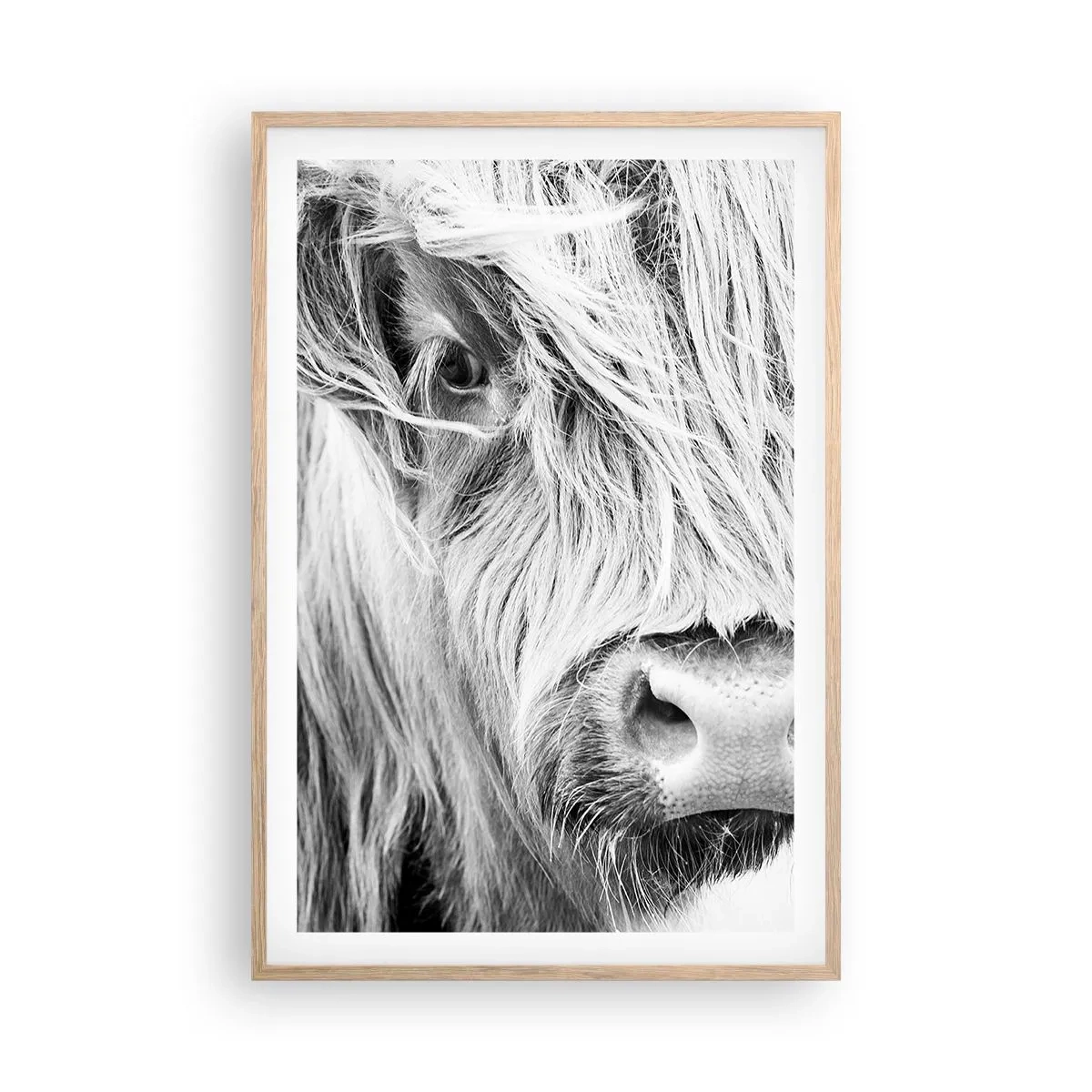 Plakat i ramme af lyst egetræ - Skotsk vildmark - 61x91 cm