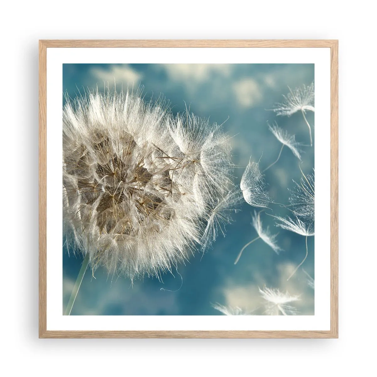Plakat i ramme af lyst egetræ - En engels åndedræt - 60x60 cm
