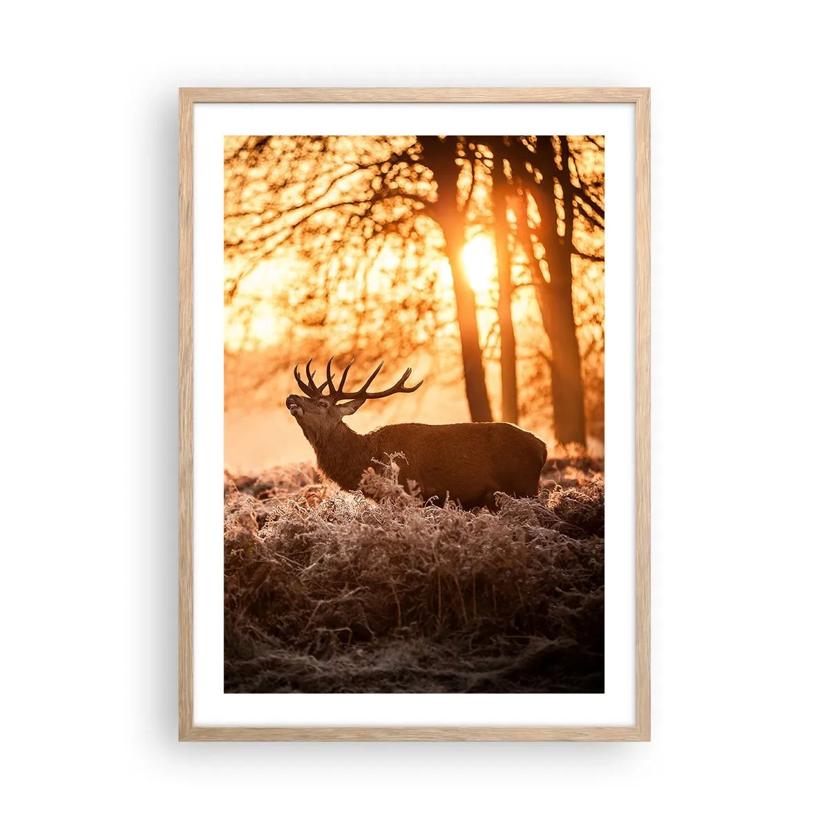 Plakat i ramme af lyst egetræ - En jægerdrøm - 50x70 cm