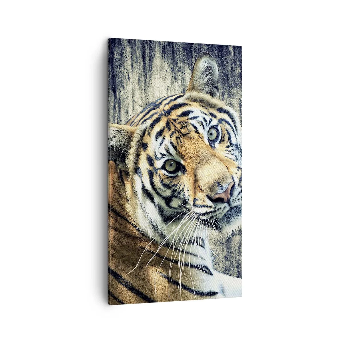 Lærredstryk - Billede på lærred - Portræt i lysstrømme - 45x80 cm