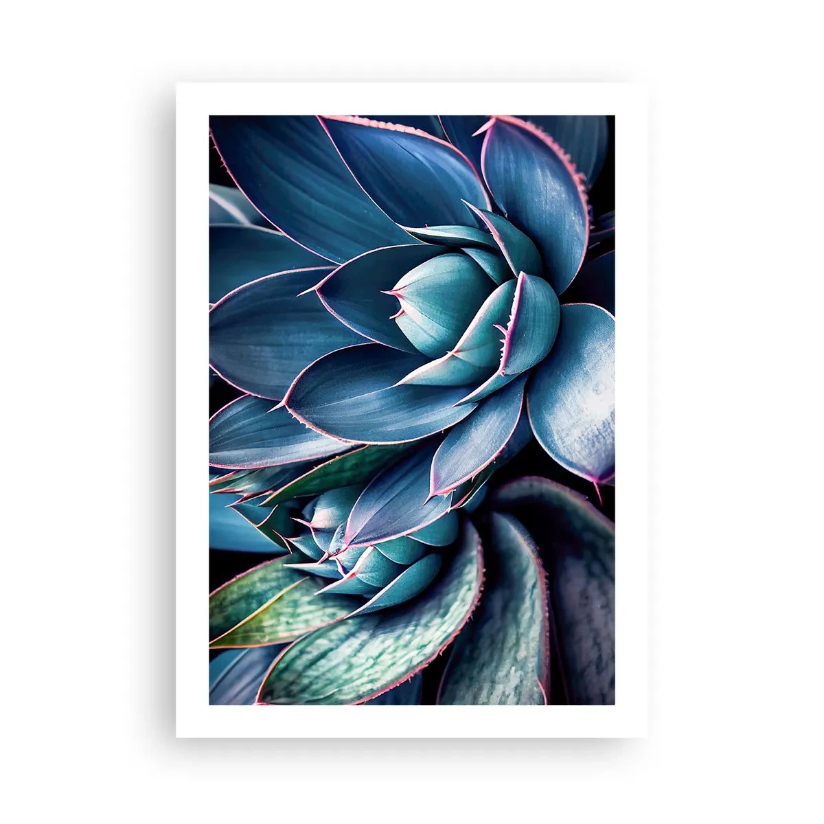 Plakat - Vital kraft - 50x70 cm