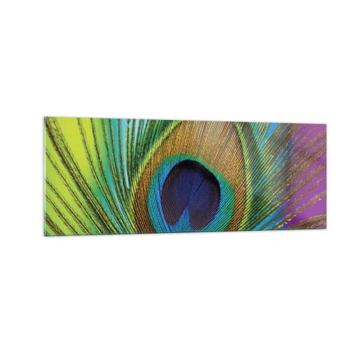 Billede på glas - Øje mod øje - 140x50 cm